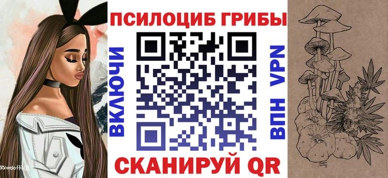 где купить наркоту  Любань  Галлюциногенные грибы Psilocybine cubensis 